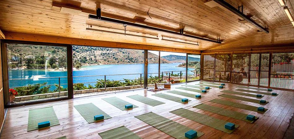 An amazing yoga studio for your yoga instructor course